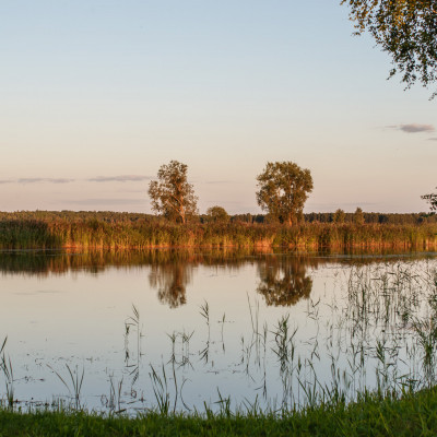 Sabiedrība ar ierobežotu atbildību Zive - saimniecību bildes