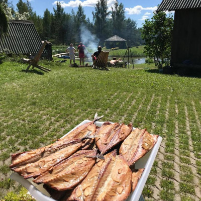 SIA Paradīzes putni - saimniecību bildes