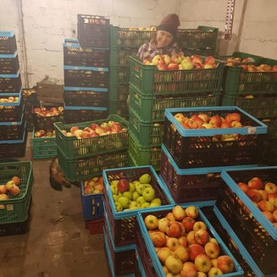 BRIĶI, Liepājas rajona Tadaiķu pagasta zemnieku saimniecība - saimniecību bildes