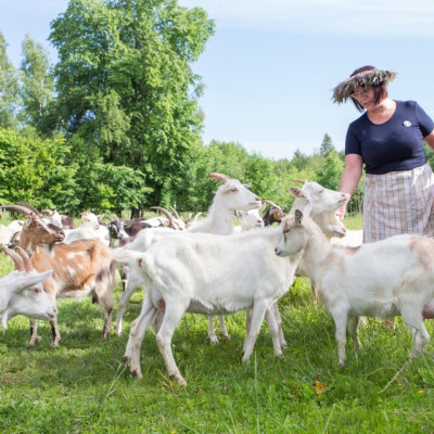 IK PILNVEIDO SEVI - saimniecību bildes