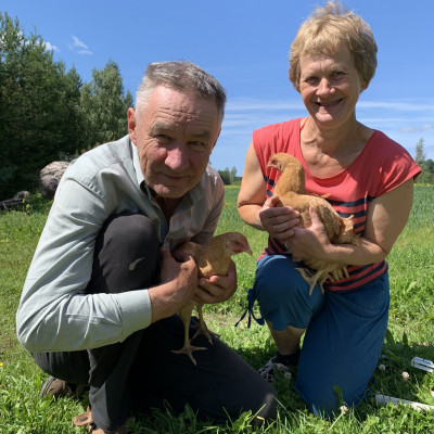 Salacgrīvas lauku teritorijas L.Ozolas zemnieka saimniecība VĀRPAS - saimniecību bildes