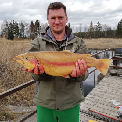 Sabiedrība ar ierobežotu atbildību PURE FISH - saimniecību bildes