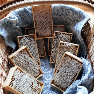 Medus bites - saimniecību bildes