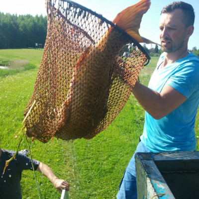 Stalbes pagasta zemnieku saimniecība ŪDENSROZES - saimniecību bildes